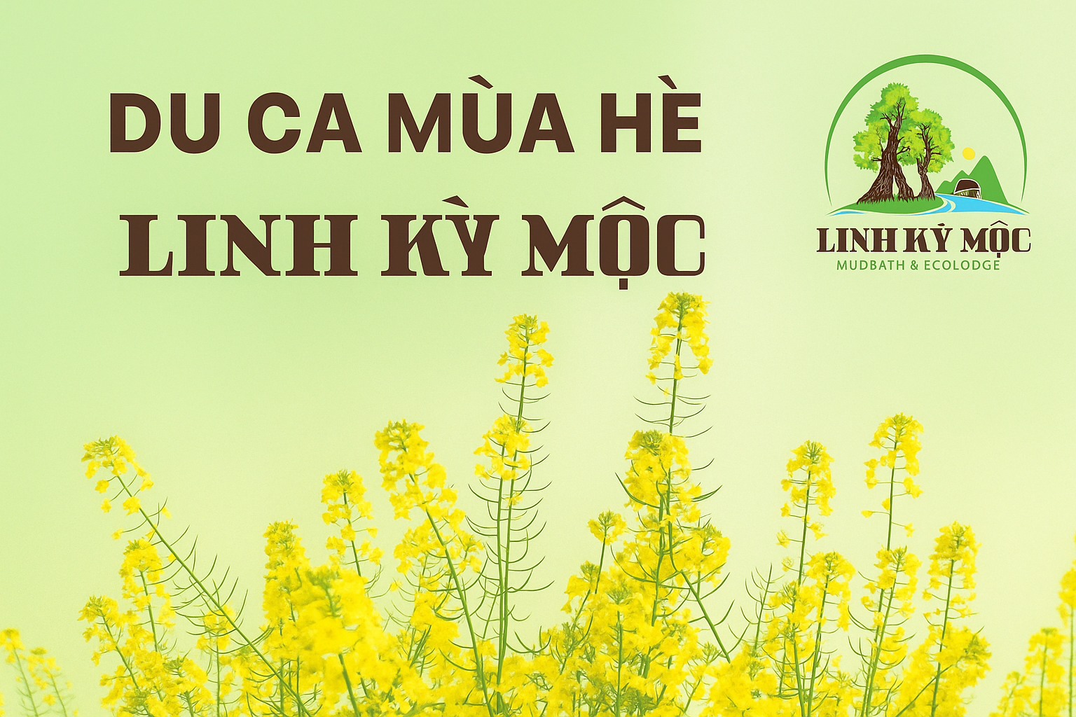 Cover image for linh kỳ mộc