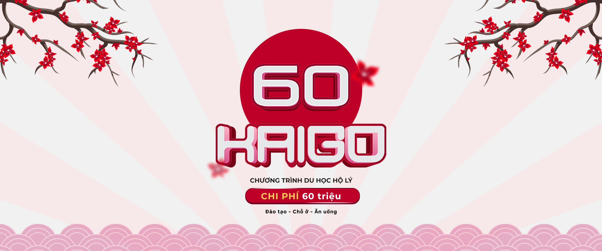 Cover image for HESED VIỆT NAM