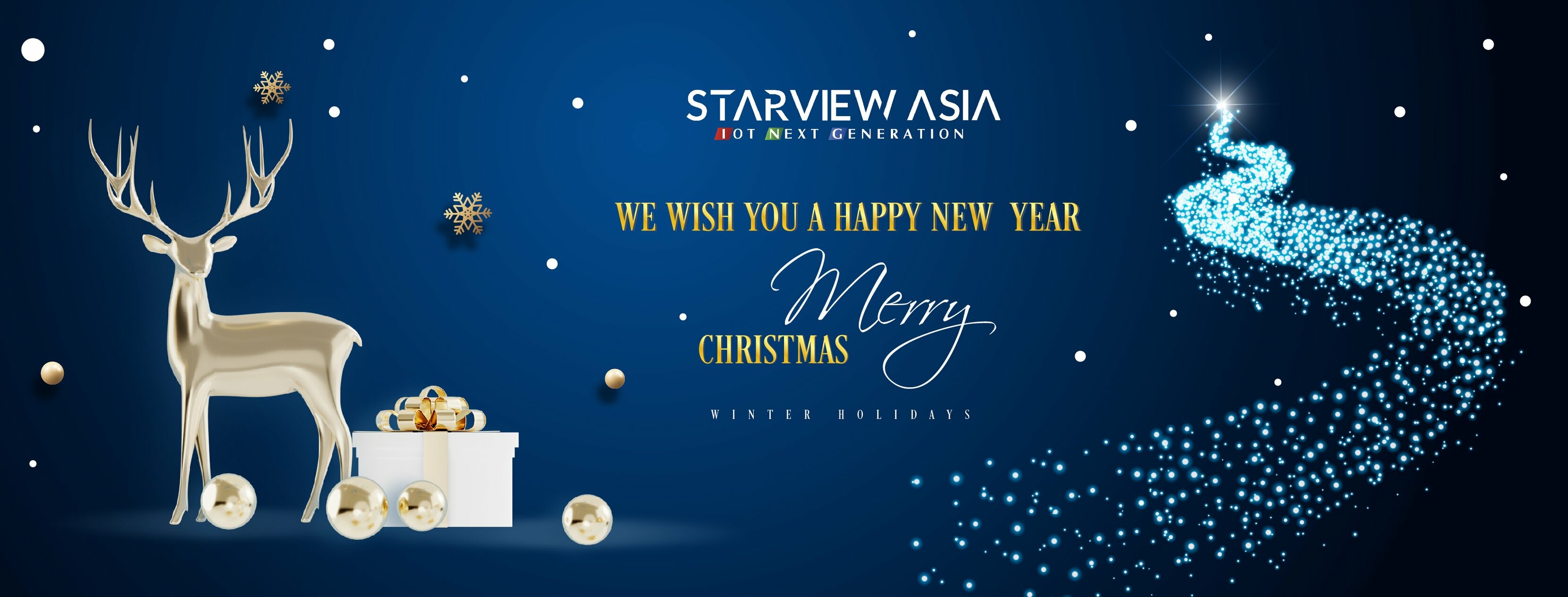 Cover image for STARVIEW VIETNAM - SVV