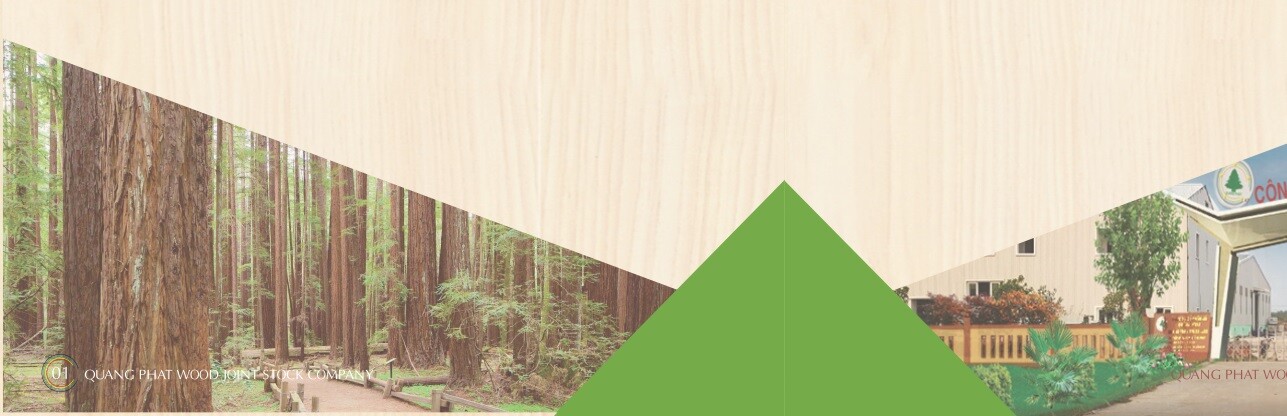 Cover image for CÔNG TY CP GỖ QUẢNG PHÁT