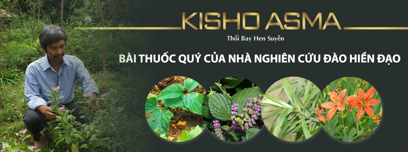 Cover image for CÔNG TY TNHH DƯỢC PHẨM KISHO VIỆT NAM