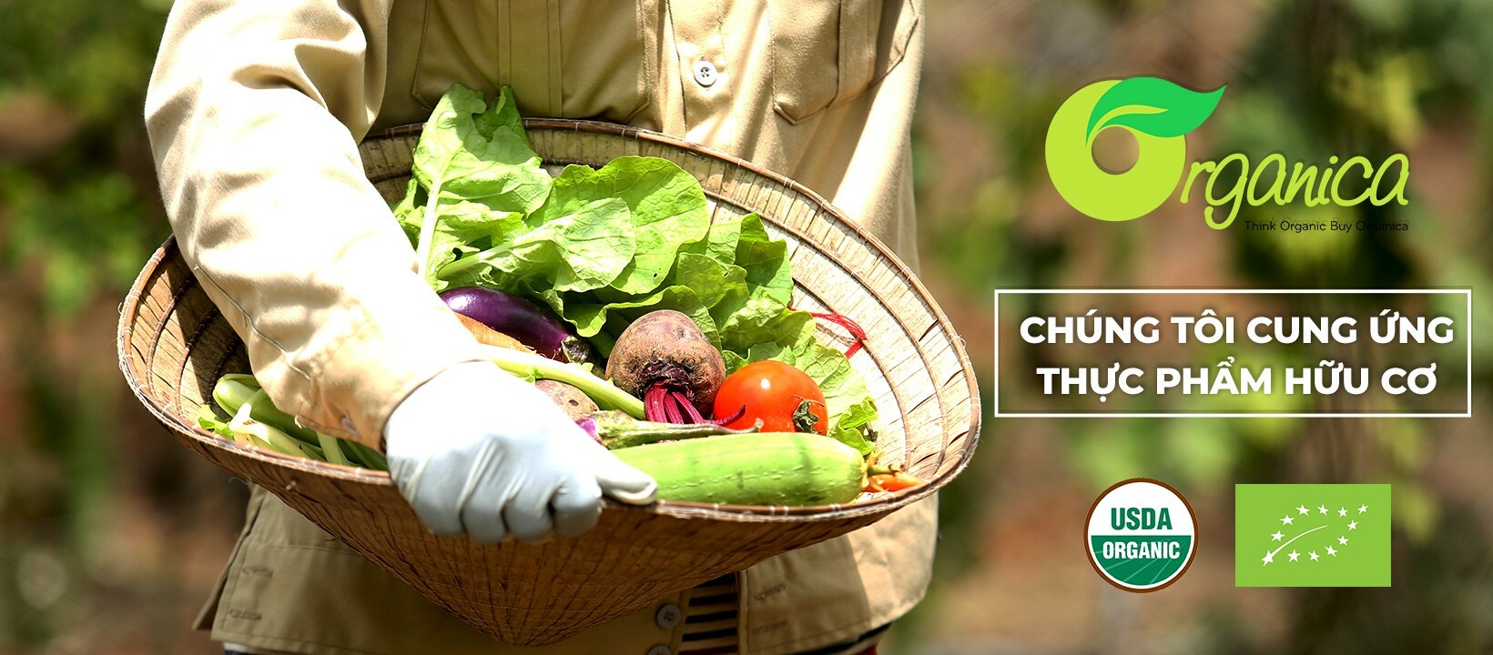 Cover image for ORGANICA INVESTMENT JSC