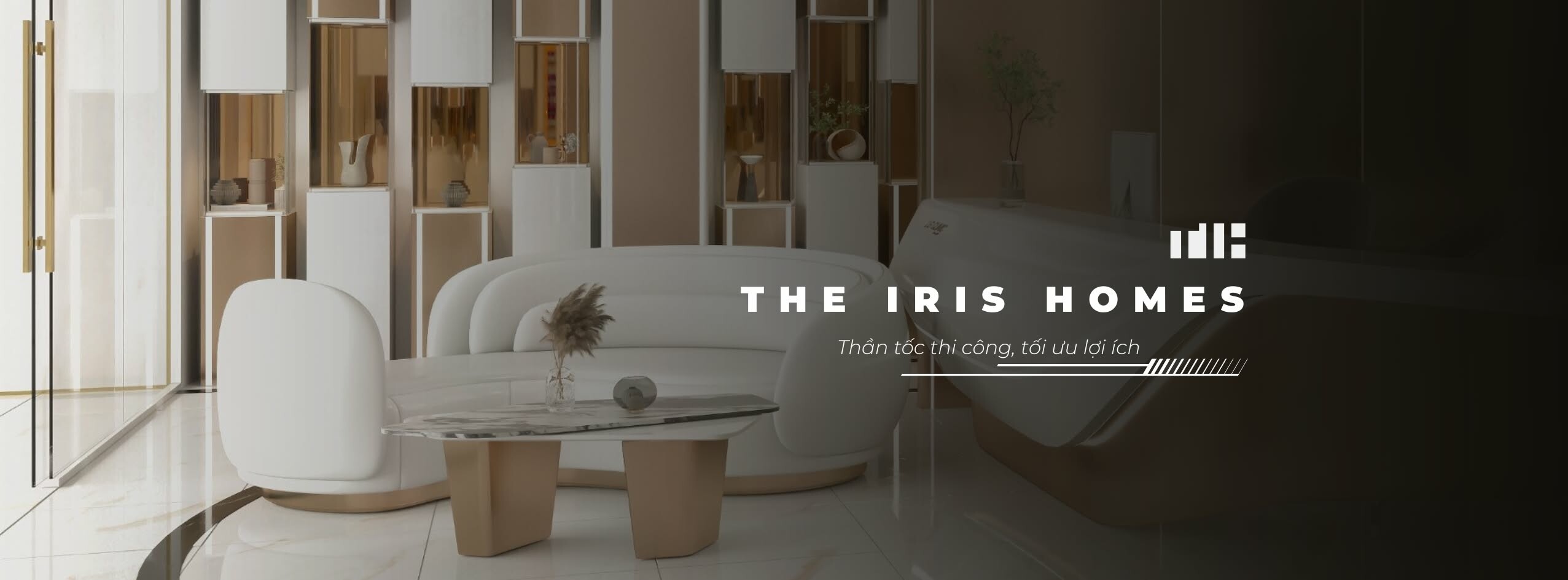Cover image for THE IRIS HOMES