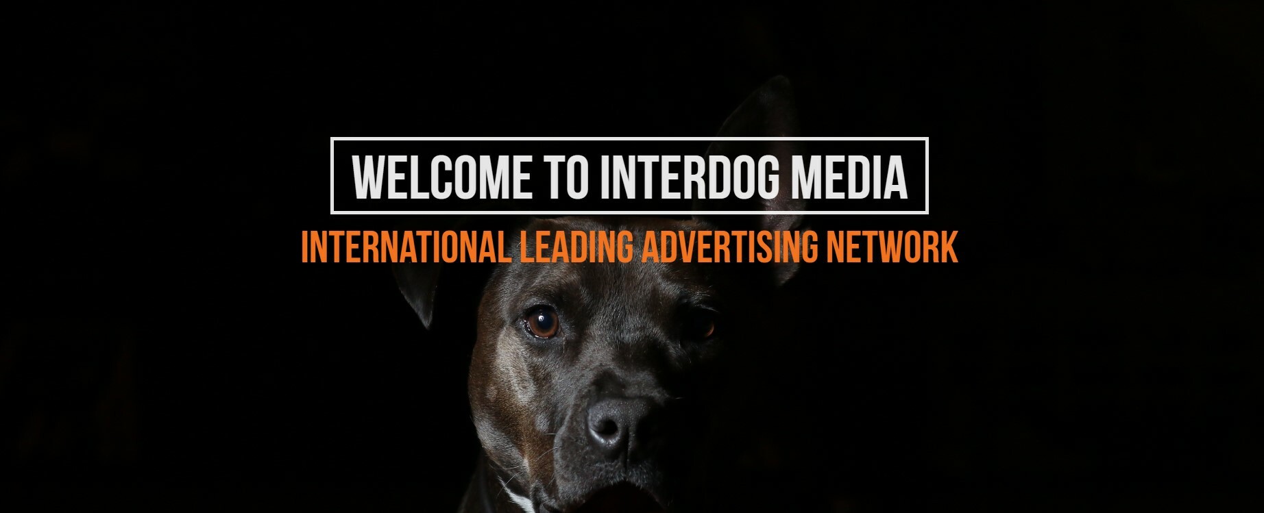Cover image for Interdog Media