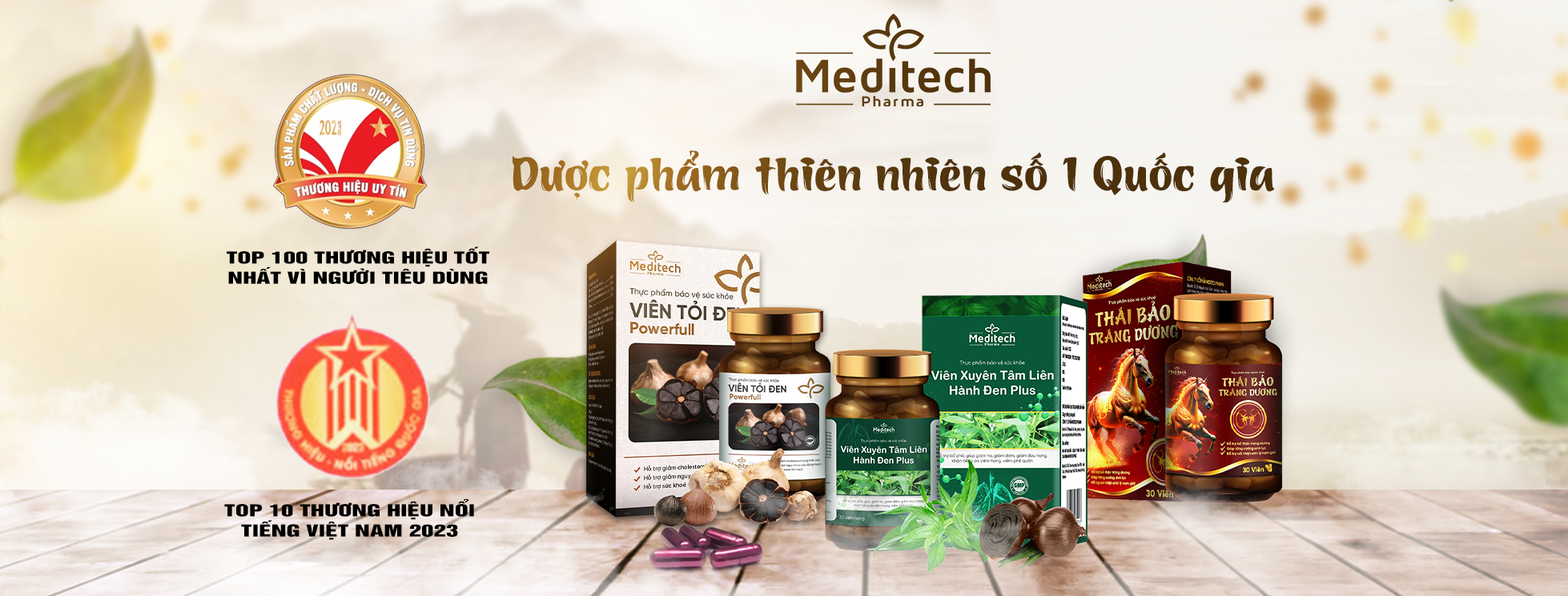 Cover image for MEDITECH PHARMA