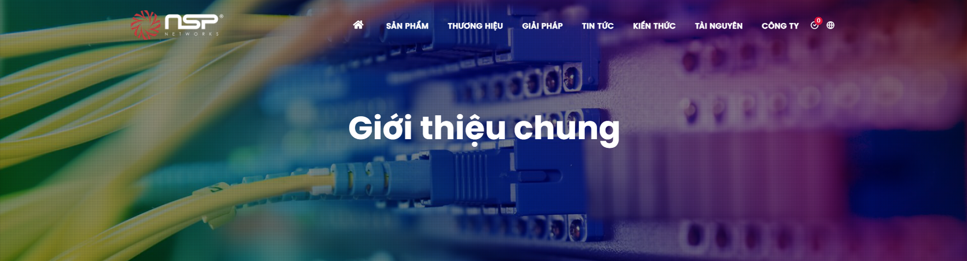 Cover image for Nhân Sinh Phúc