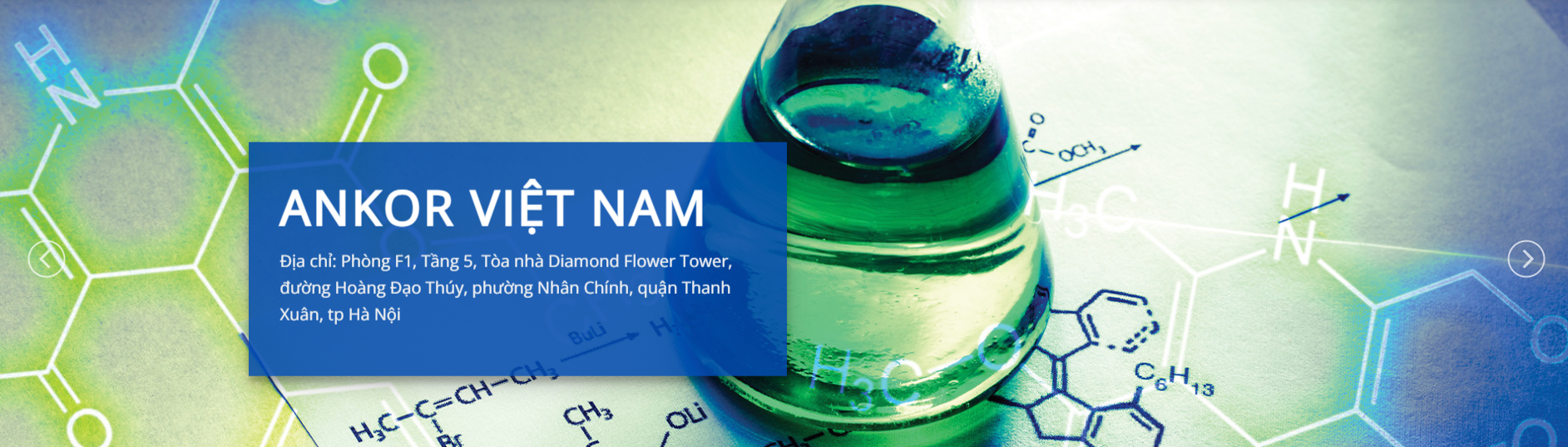 Cover image for ANKOR VIỆT NAM