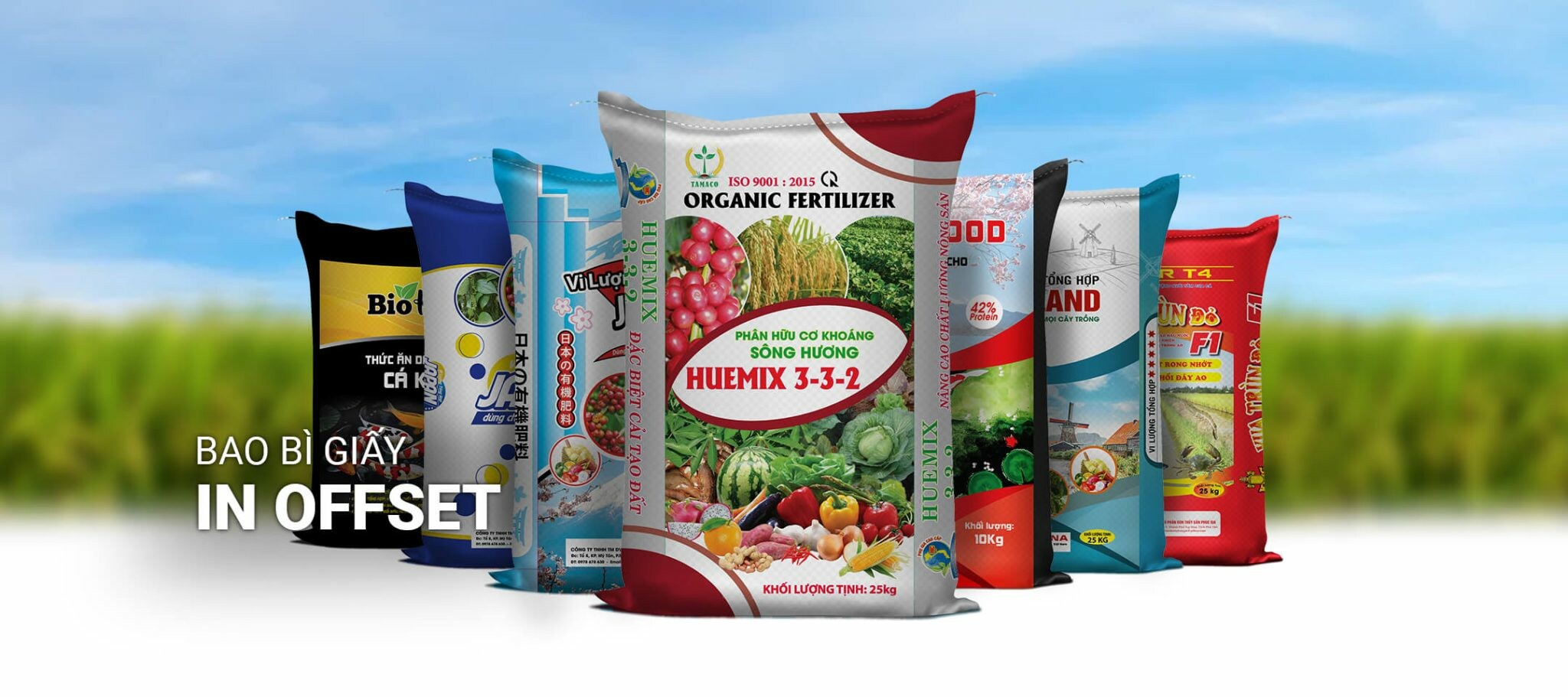 Cover image for Bao bì Ánh Sáng