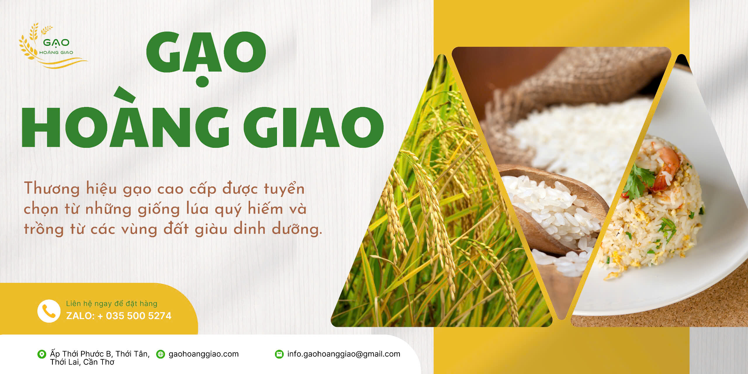 Cover image for Xay Xát Hoàng Giao