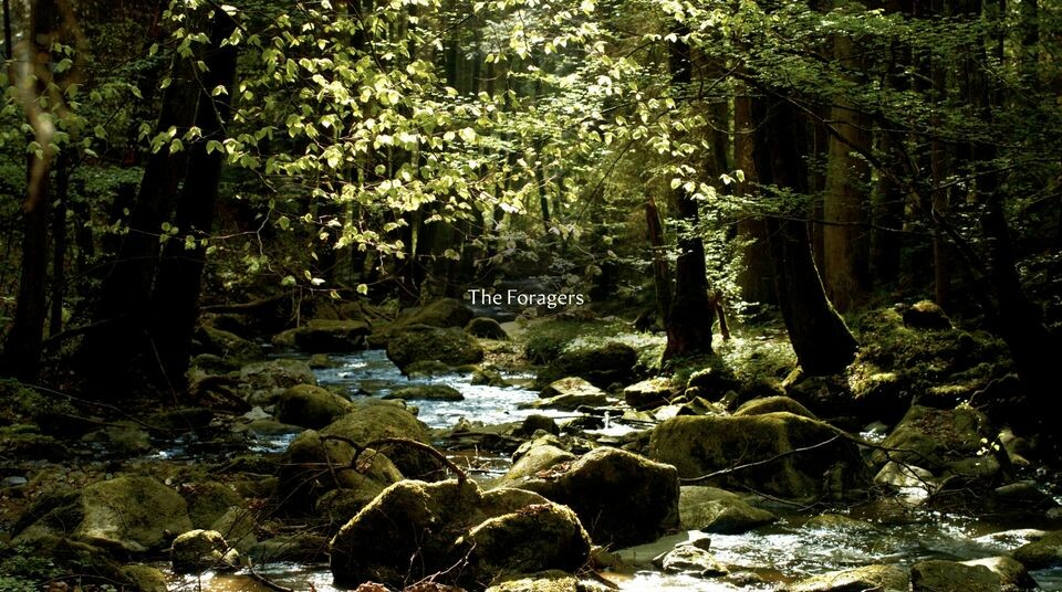 Cover image for Esta Saigon