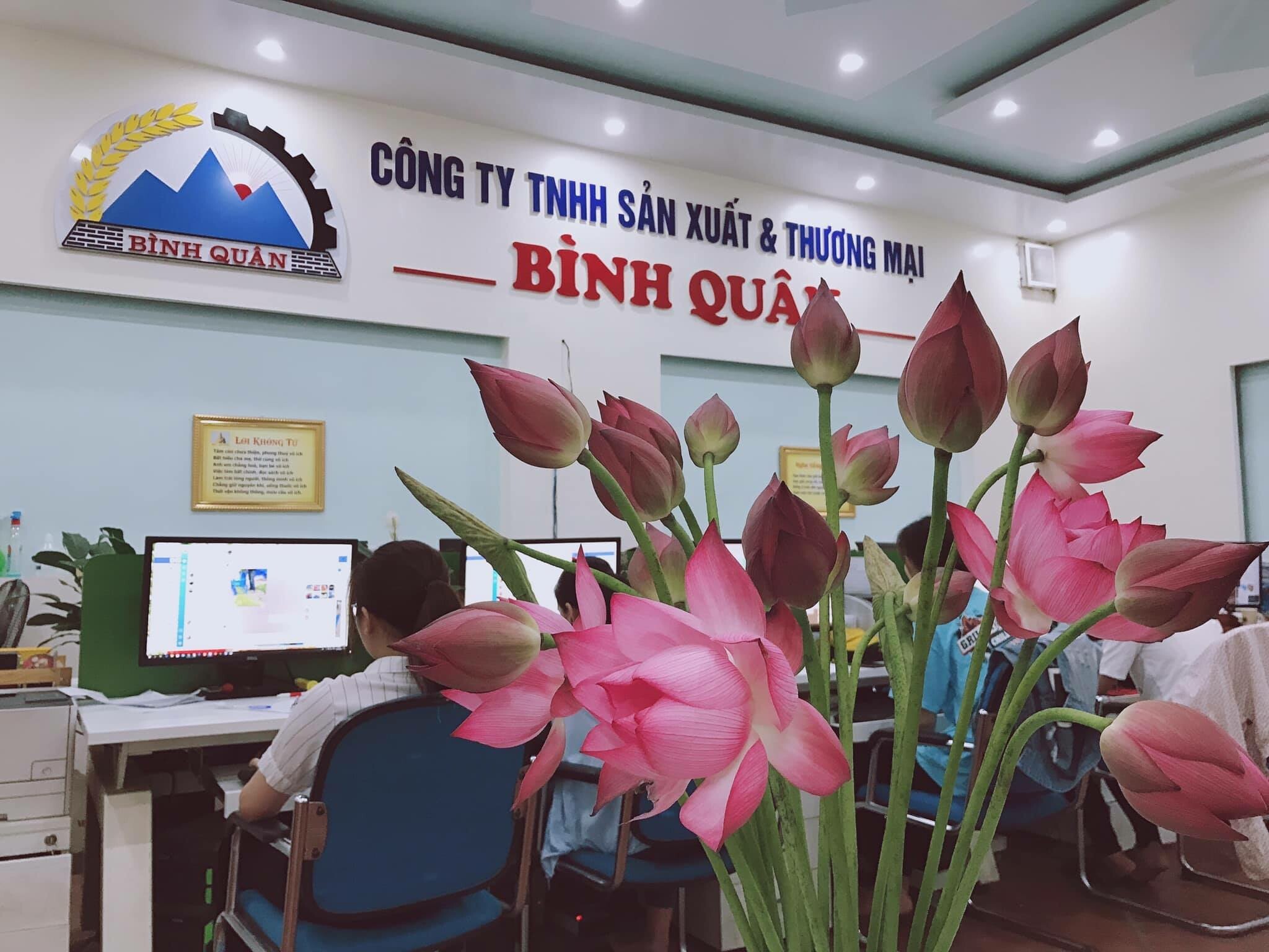 Cover image for sản xuất và TM Bình Quân