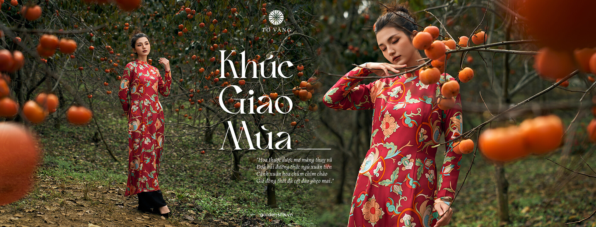 Cover image for TƠ VÀNG VIỆT NAM