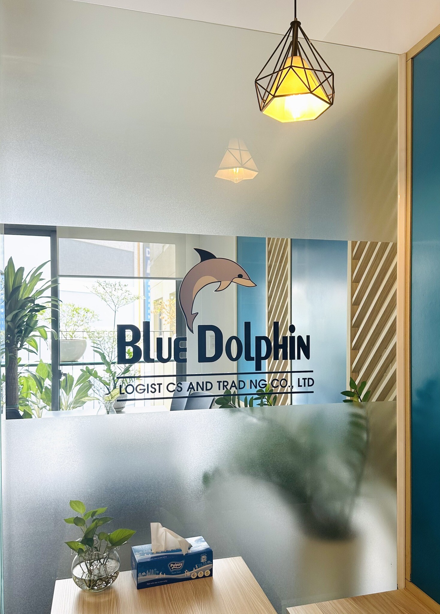 Cover image for Tiếp vận Thương mại Cá Heo Xanh - Blue Dolphin Logistics