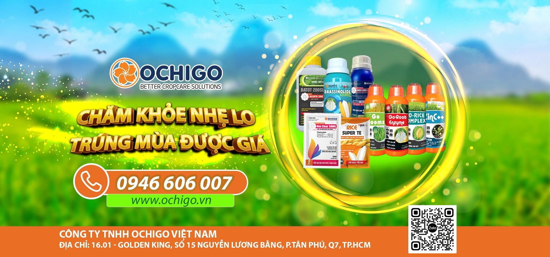 Cover image for OCHIGO VIỆT NAM