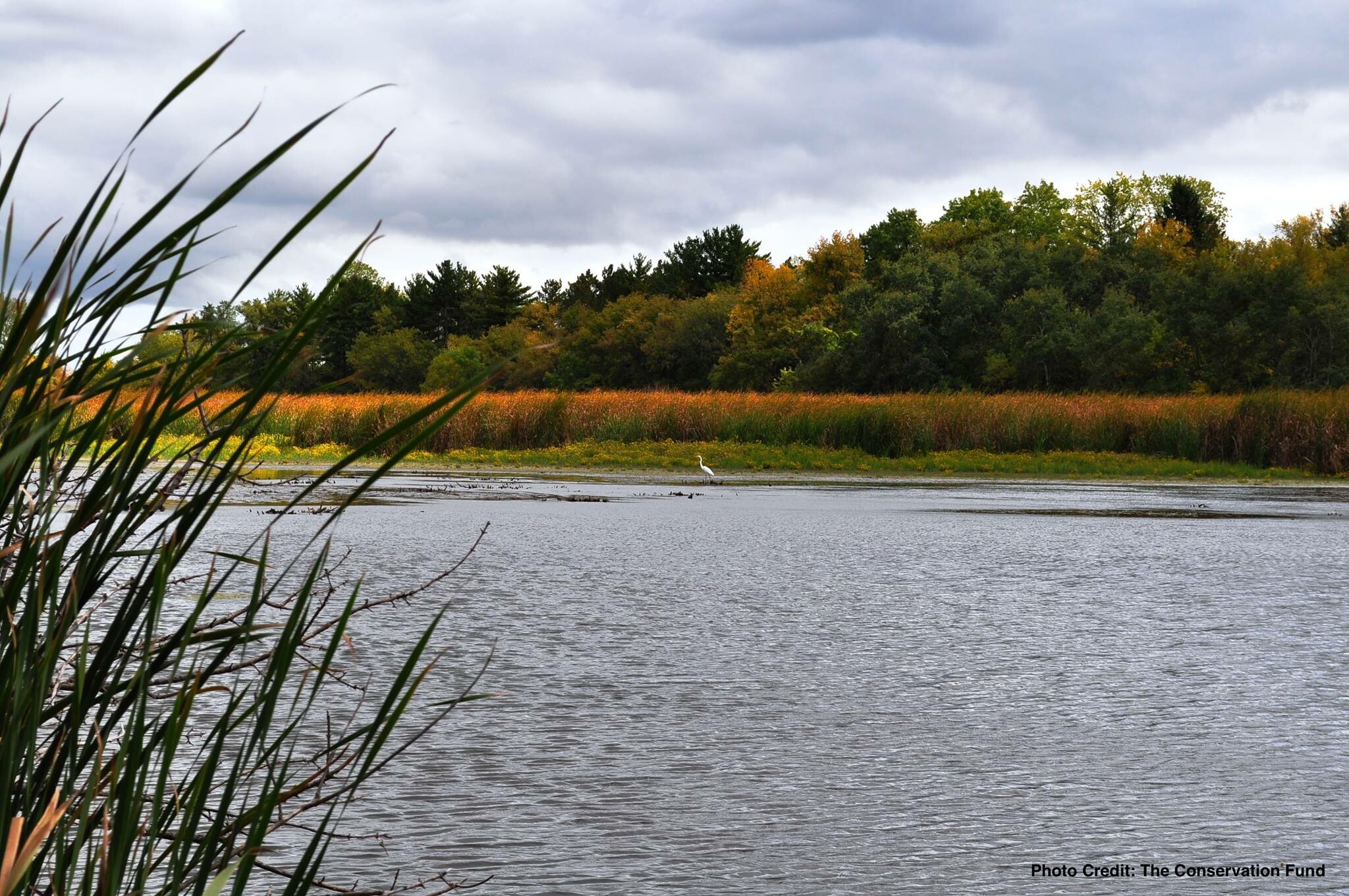 Cover image for VISTECH JSC