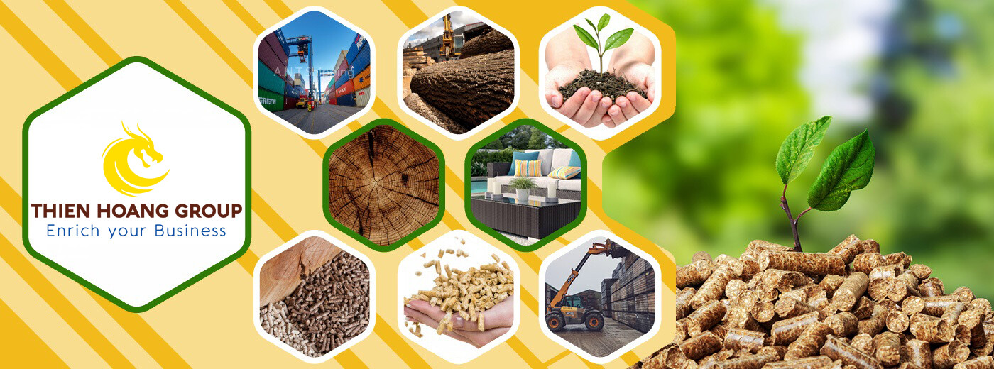 Cover image for THIỆN HOÀNG GROUP