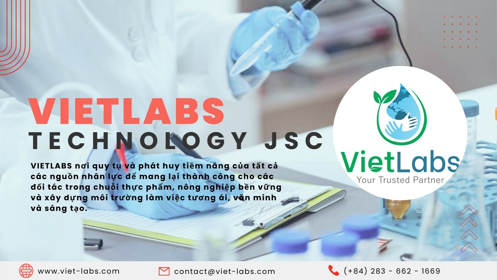 Cover image for Vietlabs