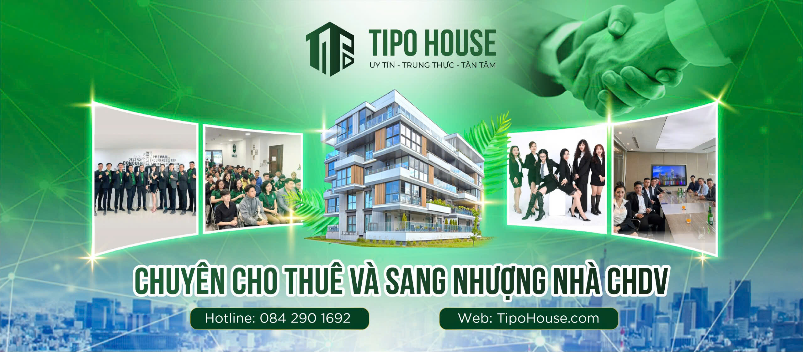 Cover image for TIPO HOUSE