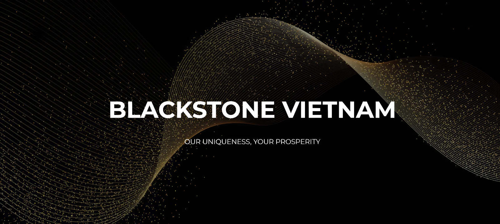 Cover image for Bất động sản Blackstone Việt Nam