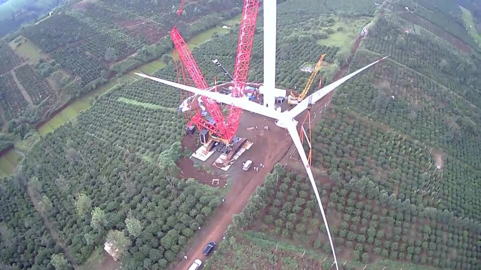 Cover image for Trường Lộc