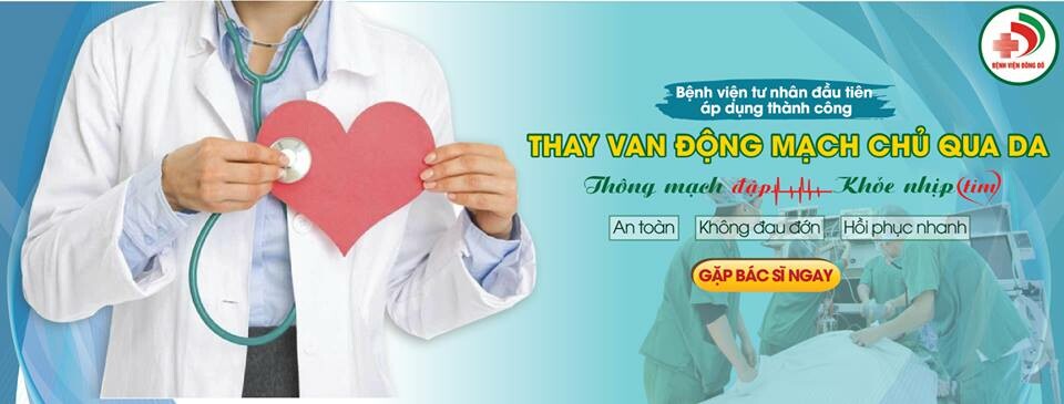 Cover image for BỆNH VIỆN ĐÔNG ĐÔ