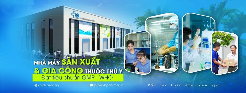 Cover image for VB Pharma