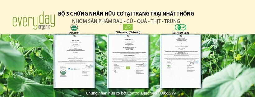 Cover image for CÔNG TY TNHH NÔNG NGHIỆP NHẤT THỐNG