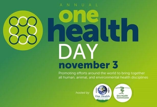 Cover image for ONE HEALTH