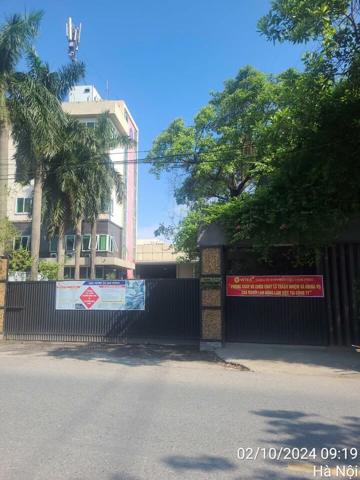 Cover image for VITEX