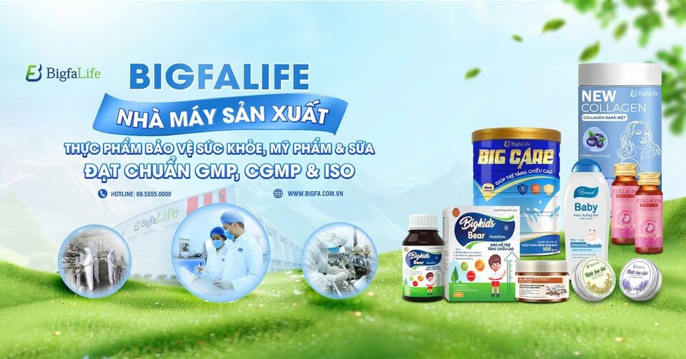 Cover image for Công Ty Bigfa