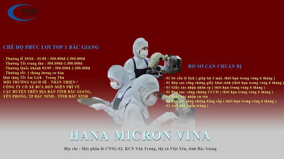 Cover image for HANA Micron