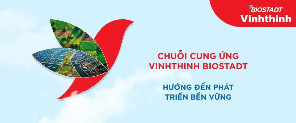 Cover image for VINHTHINH BIOSTADT
