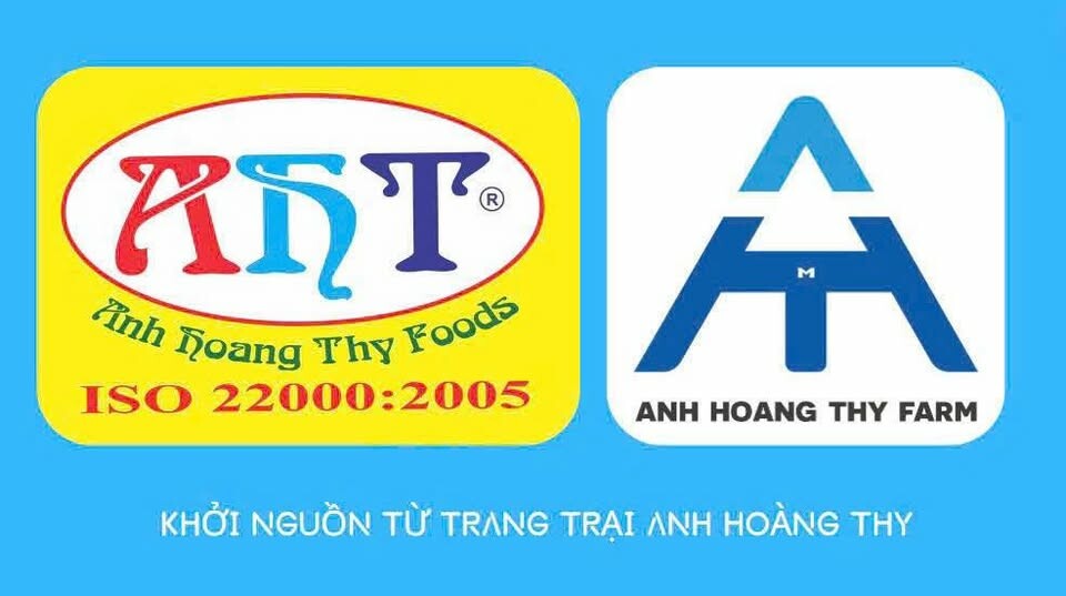 Cover image for Công Ty Anh Hoàng Thy