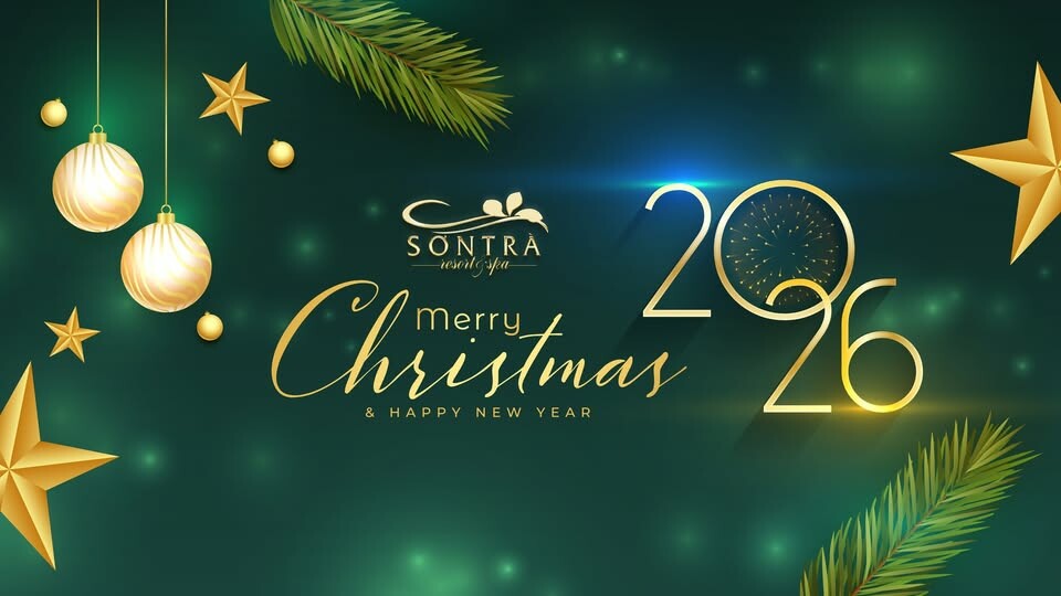 Cover image for Sơn Trà Resort & Spa