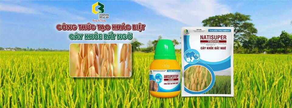 Cover image for S New Rice