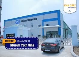 Cover image for MUSEM VINA