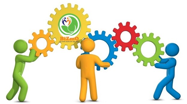 Cover image for BIZMO INVESTMENT MANAGEMENT J.S.C