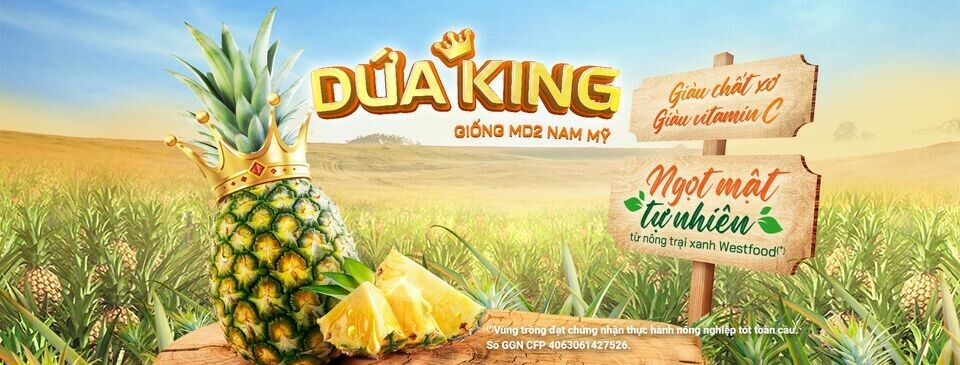 Cover image for WEST FOOD