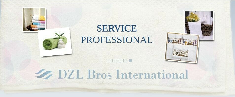 Cover image for DZL Bros