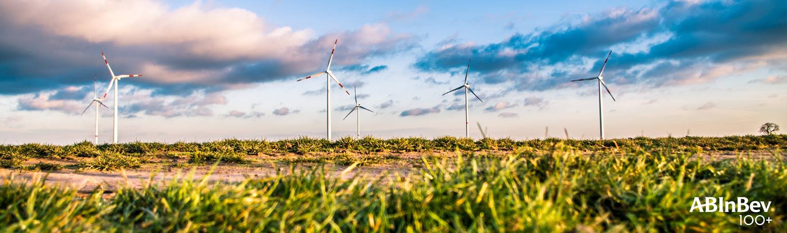 Cover image for AB INBEV VIỆT NAM