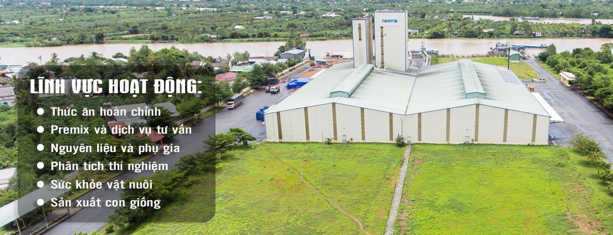 Cover image for ADM VIET NAM