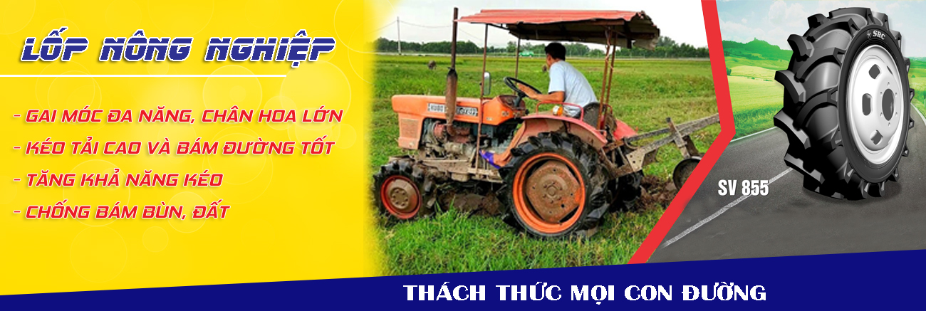 Cover image for Cao su Sao Vàng