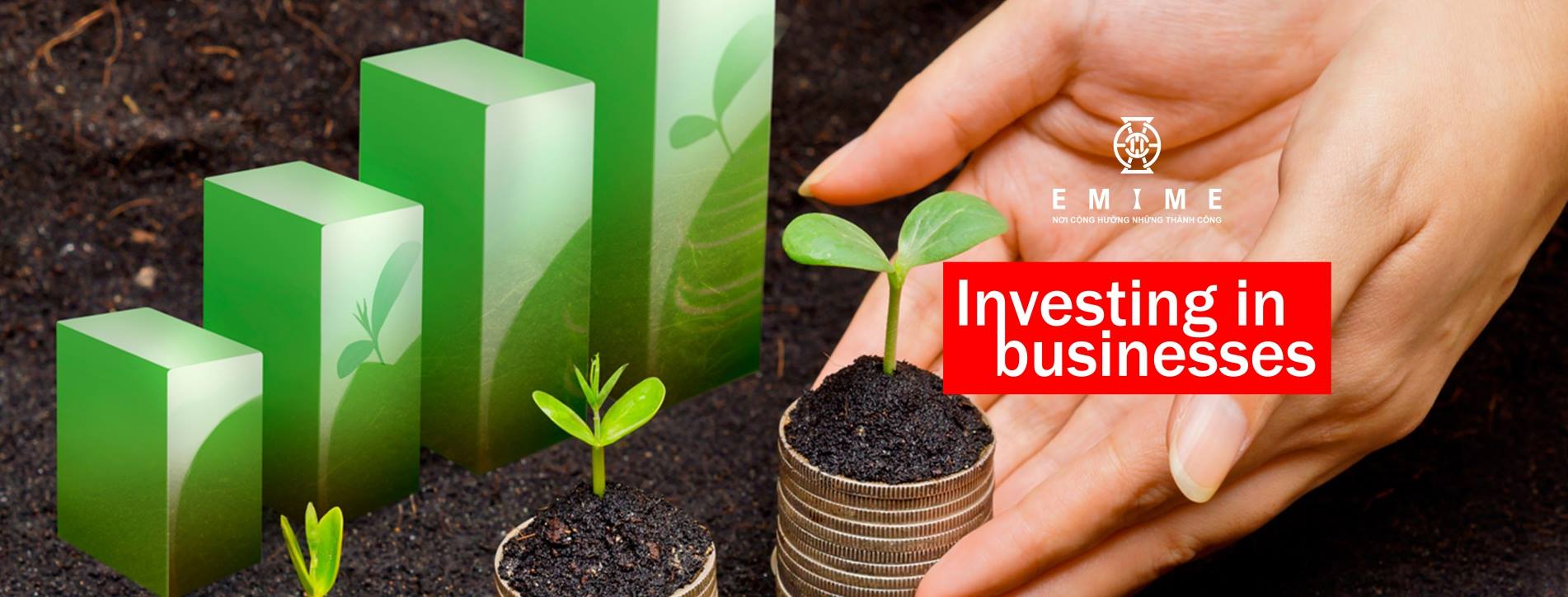 Cover image for Đầu tư EMIME