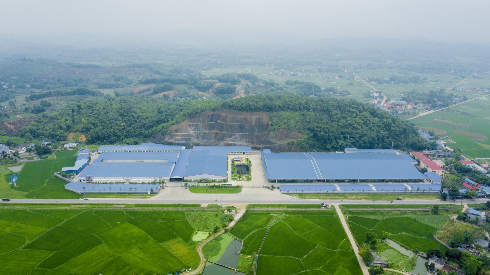 Cover image for THAGACO