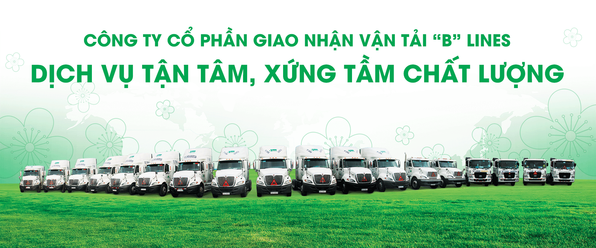 Cover image for Giao Nhận Vận Tải "B" Lines