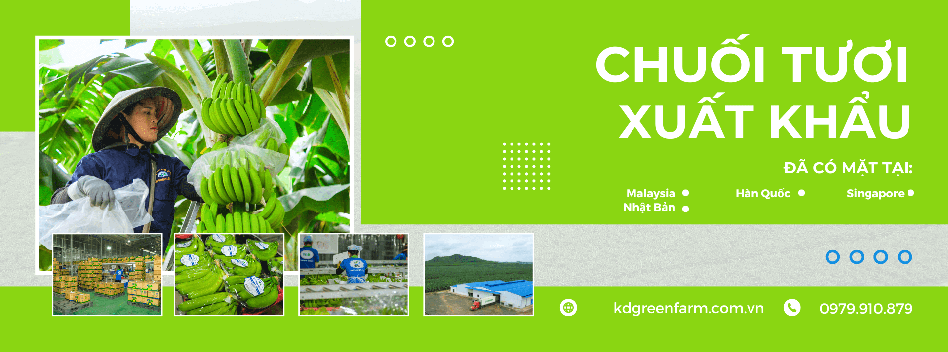 Cover image for KD GREEN FARM