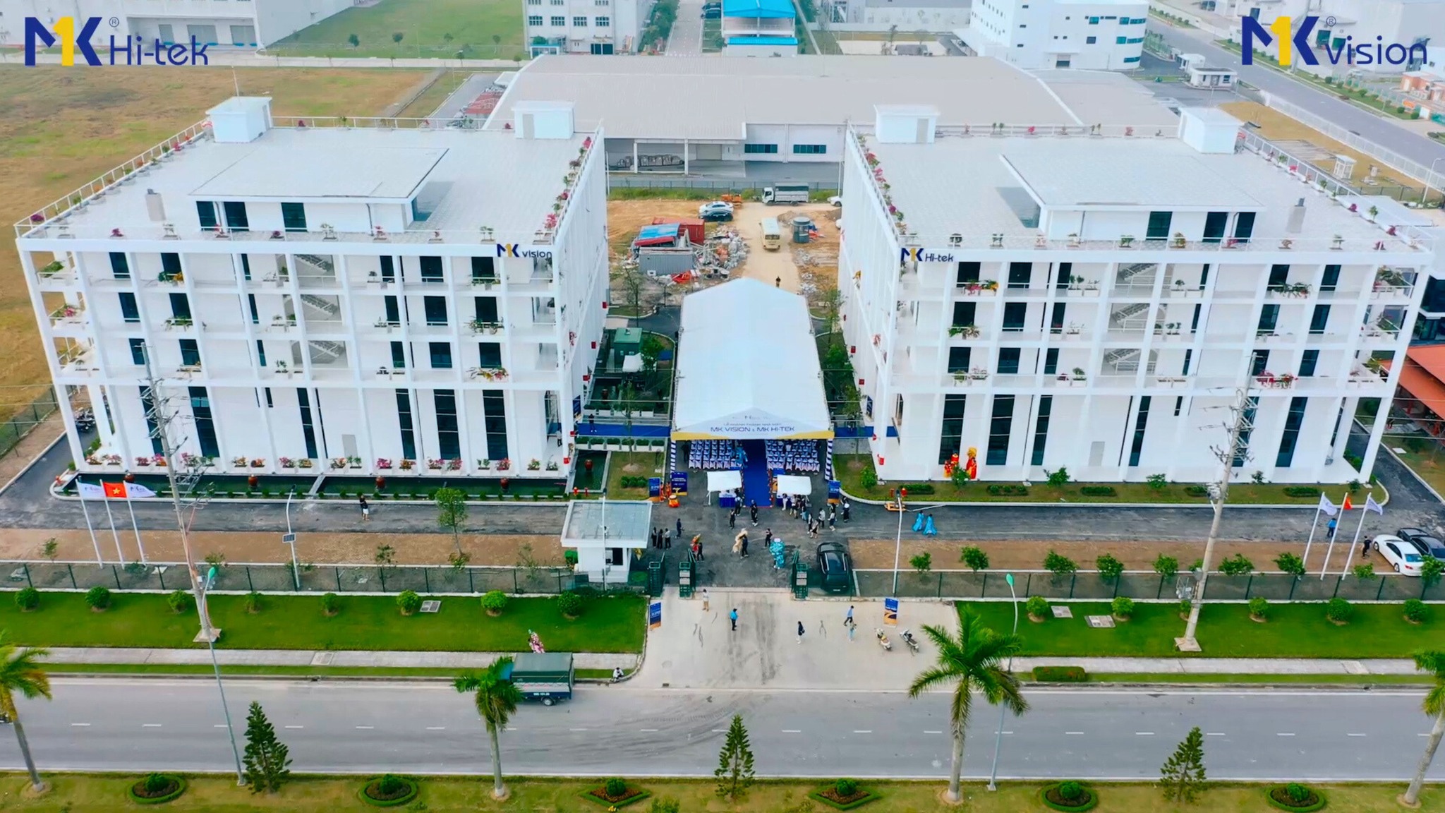 Cover image for Mk Vision