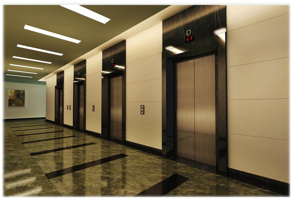 Cover image for Thang Máy Hoàng Triều