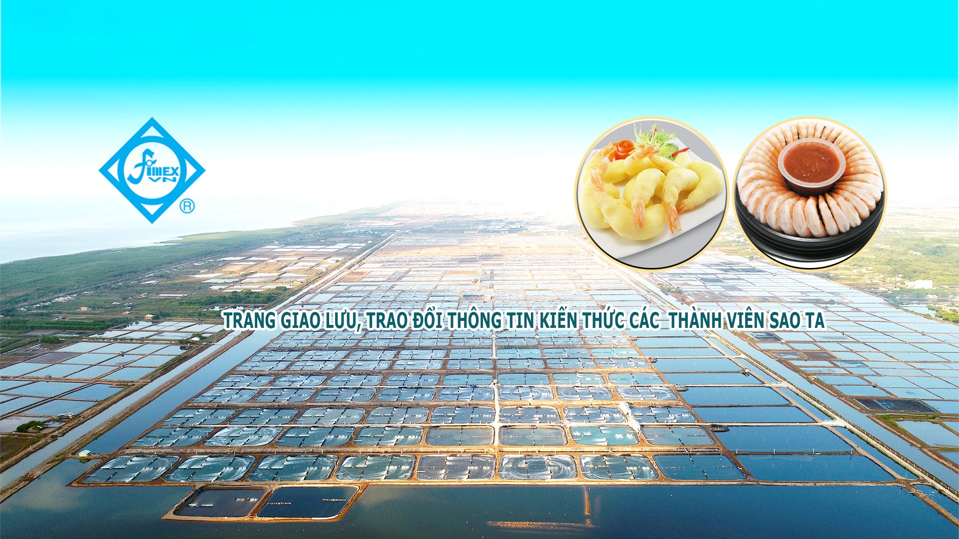 Cover image for THỰC PHẨM SAO TA