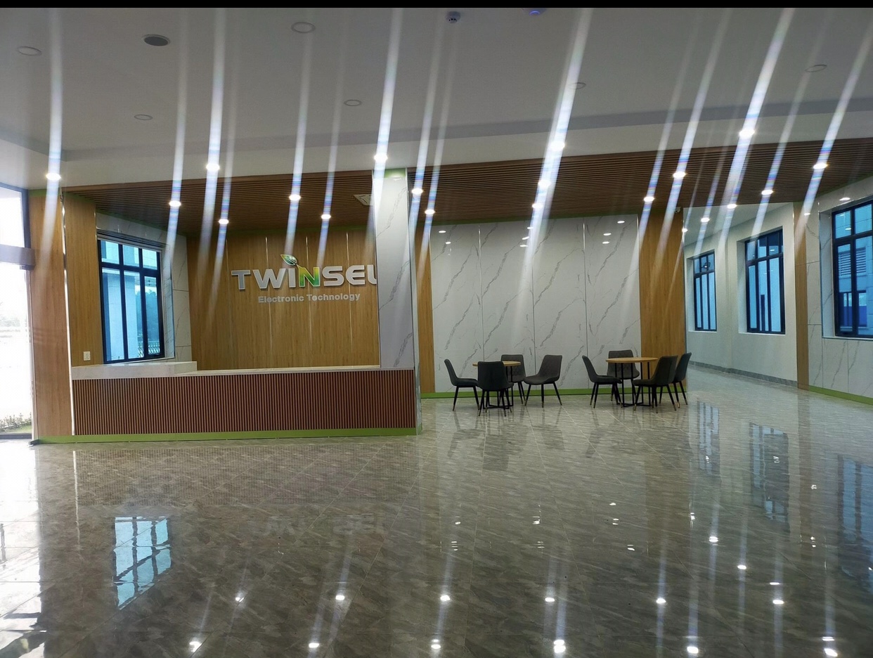 Cover image for Twinsel